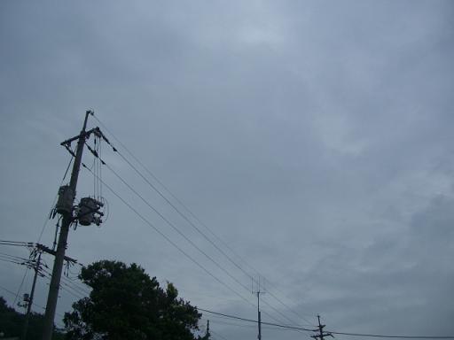 久しぶりの梅雨空